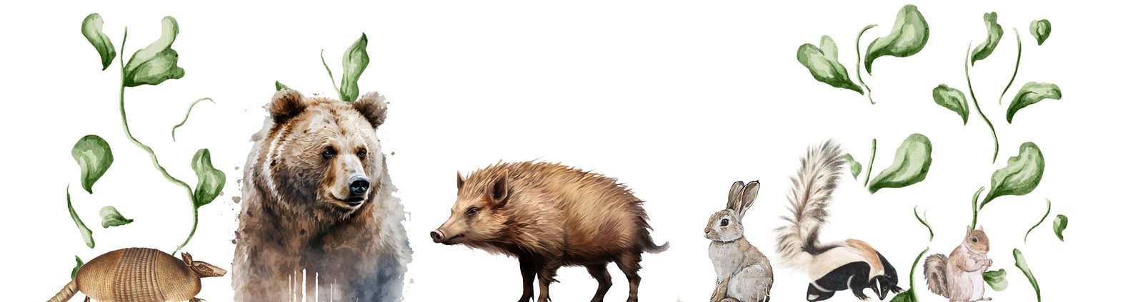 Wildlife Relocation Services